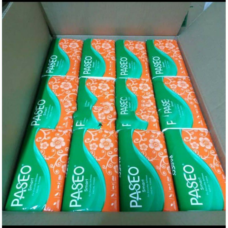 Tissue Paseo 250 sheet