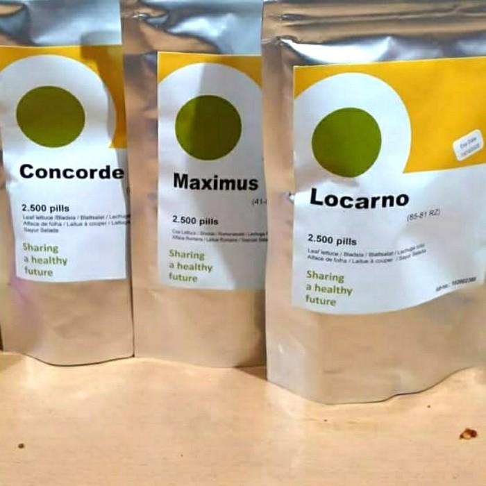 Benih Selada Romain Maximus Rz (Rijk Zwan)'- Repack