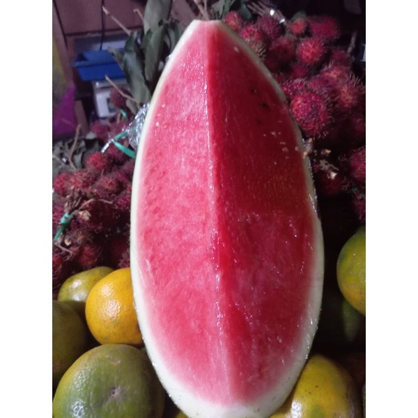 

Buah semangka merah segar manis per 1 kilo