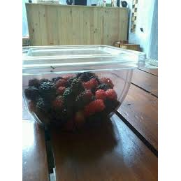 

Buah Murbei Perpack 200gr