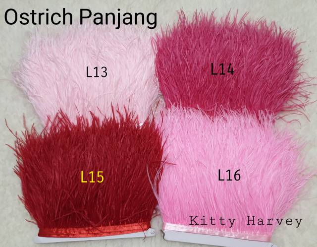 BULU OSTRICH PANJANG 1METER