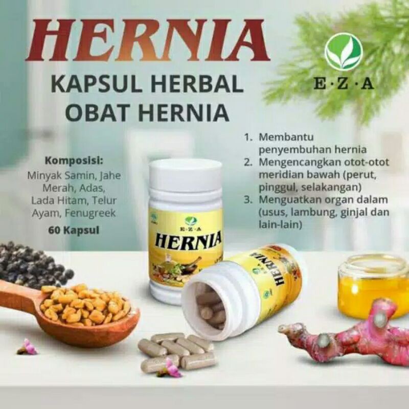 OBAT HERNIA HERBAL / OBAT HERNIA AMPUH / OBAT HERNIA MUJARAB