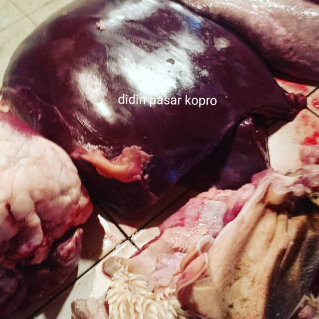 

Hati sapi 1 kg