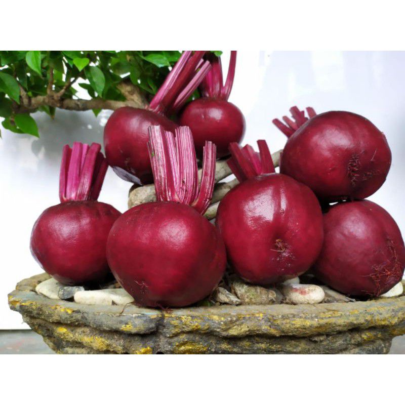

RB22 buah bit beetroot 1 kg
