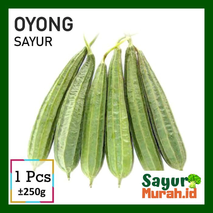 

OYONG SAYUR FRESH [500g]