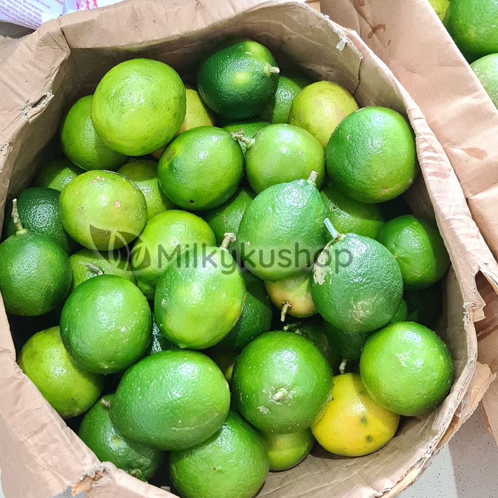 BUAH LEMON CALIFORNIA LOKAL BERAT 1 KG