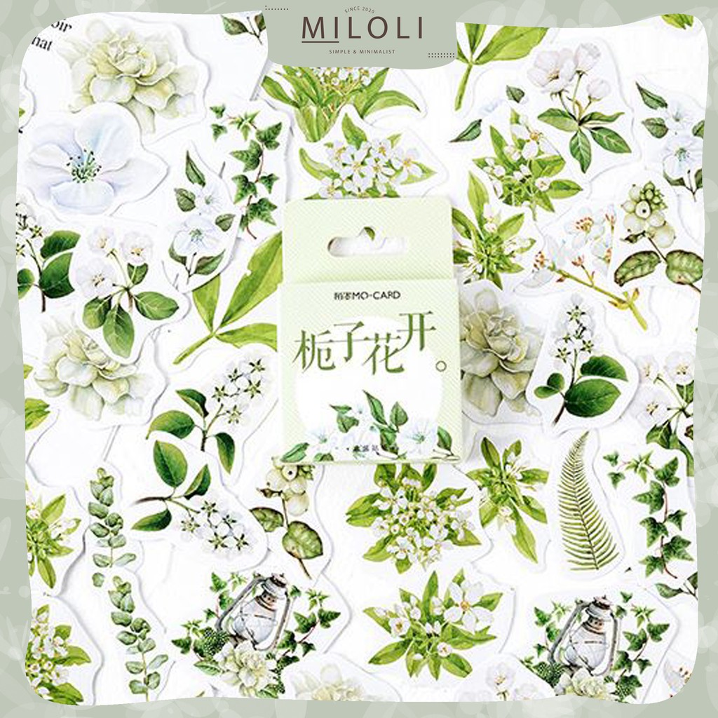 

[MILOLI] 46 Pcs GREEN FLOWER Deco Sticker Planner DIY Scrapbook Kotak - B0048