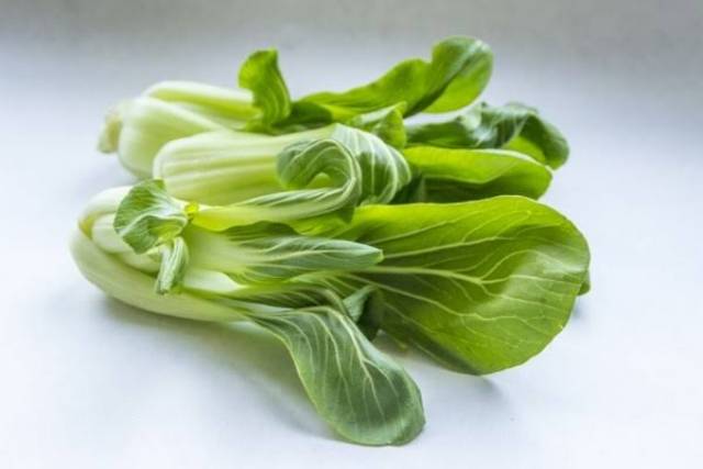 

Pak Choy 500gr / Bok Choy / Lettuce Bok Choy / Taiwanese Bok Choy/ PakChoy Hijau/ Pakchoy BokChoy
