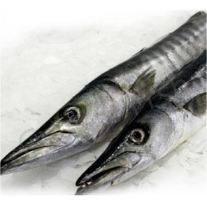 

Ikan Baracuda / 1000gr #Ikan#Segar#Online#Bandung#Cimahi