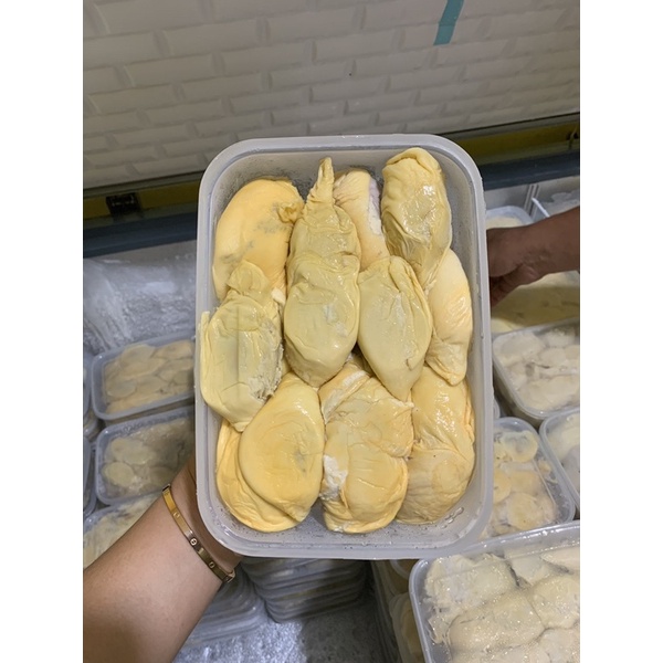 

Paket Usaha Durian Padang 142 box