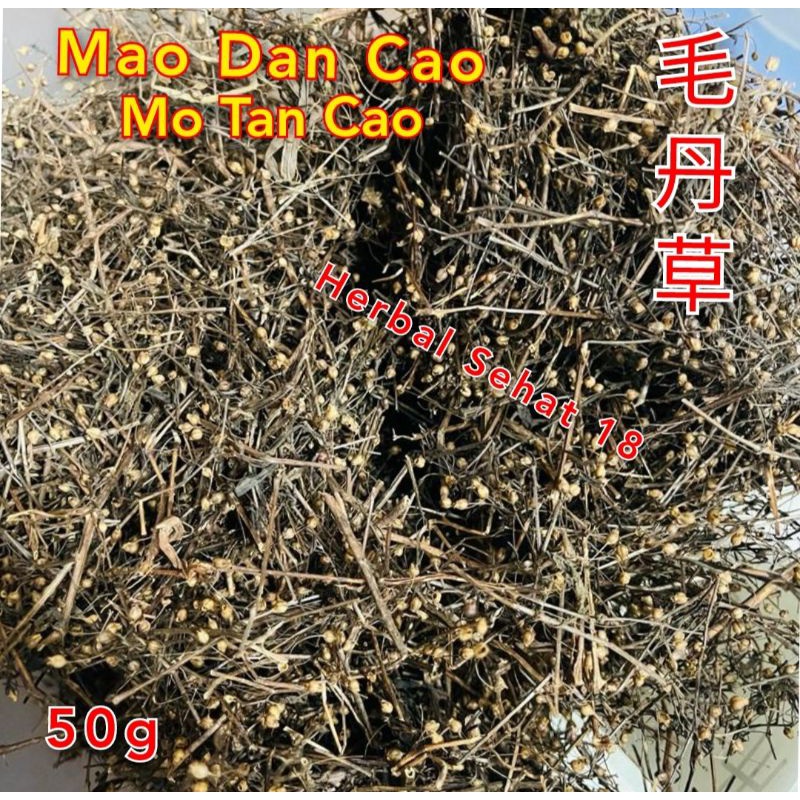 

Mao Dan Cao 50 Gram Mo Tan Cho / Motanco Herbal Untuk Tipes