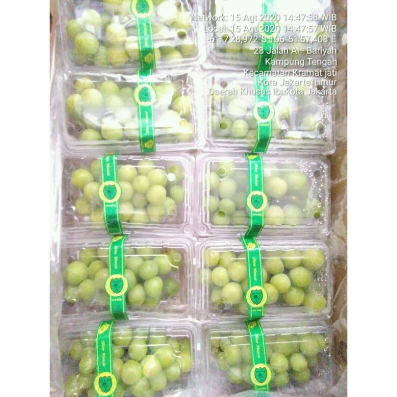 

anggur shine muscat