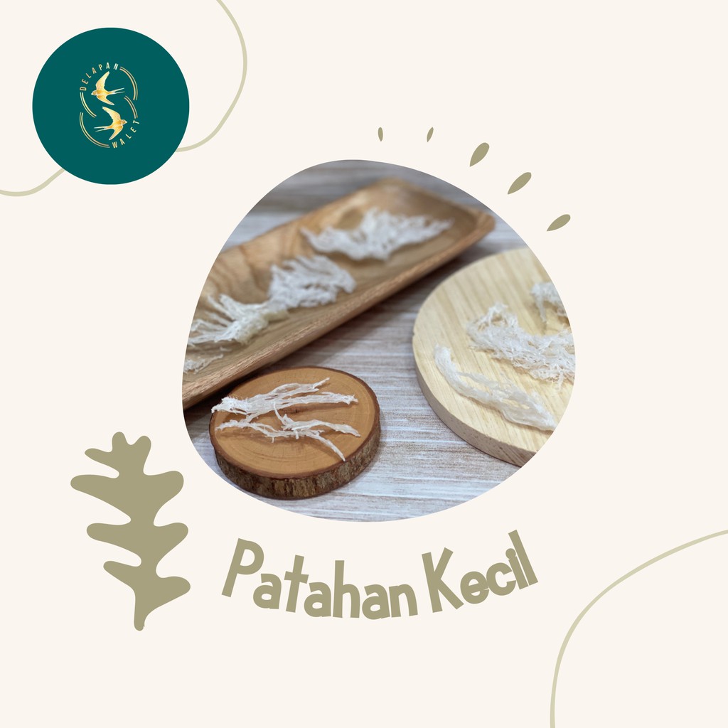 

HARGA PROMO Sarang burung Patahan Kecil 5gr