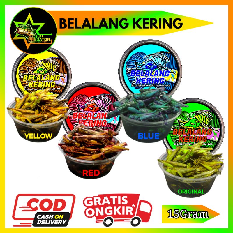 Belalang Kering Pakan Ikan Predator By GfS Feed