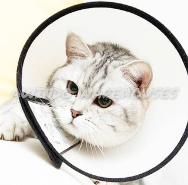 PET COLLAR CONE LINGKARAN PELINDUNG CORONG PENUTUP LEHER KEPALA ANTI BITE ANJING KUCING DOG CAT NO 1