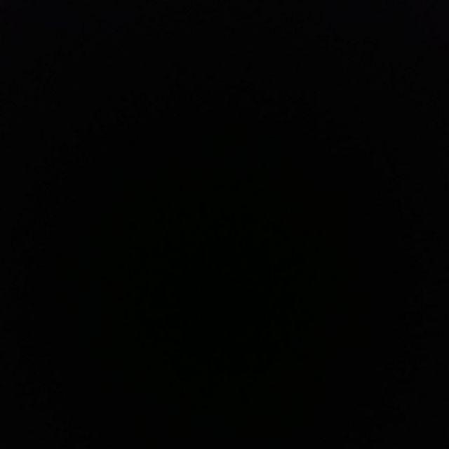 Racun Tikus Erakus 10gr Pospit