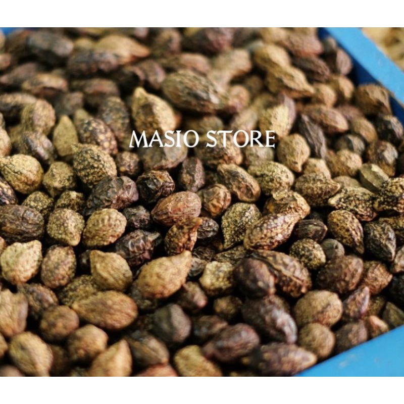 

Jokeling 1kg - Biji Mojokeling
