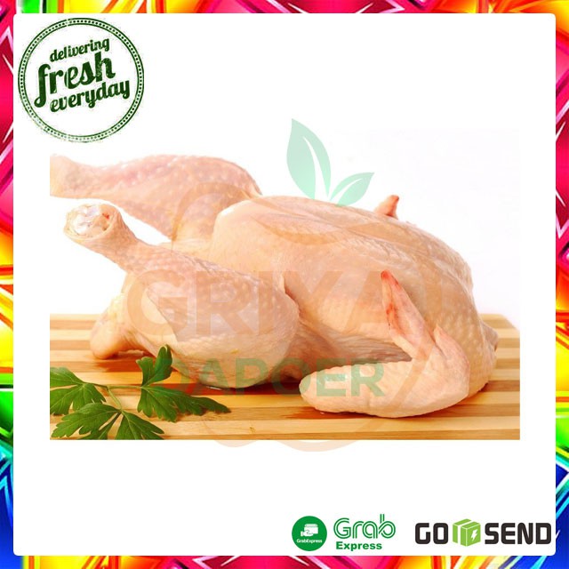 

AYAM PENJANTAN - PER EKOR