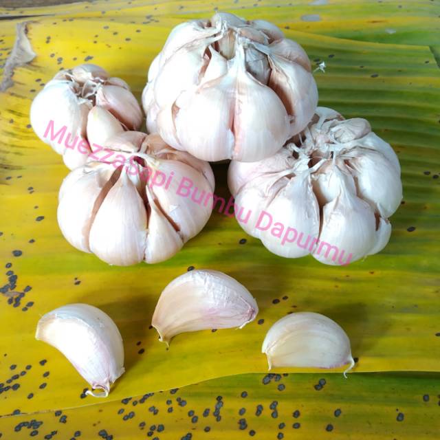 

Bawang Putih Honan Bulat 1 kg