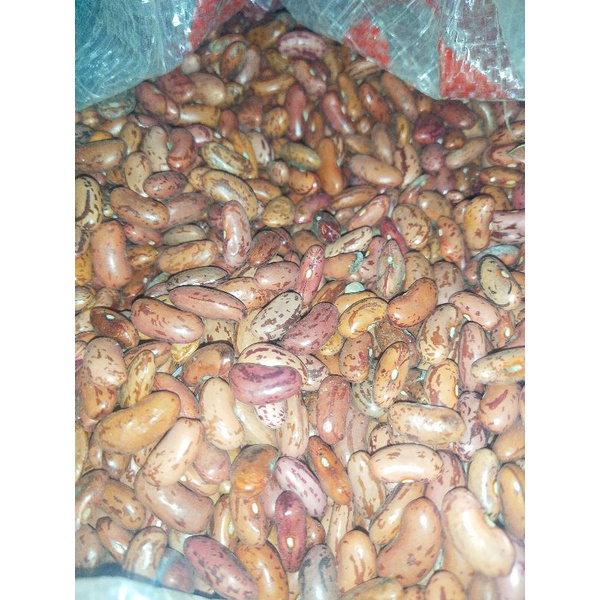 

Kacang Merah / Kacang Es Kualitas Super 250 gr