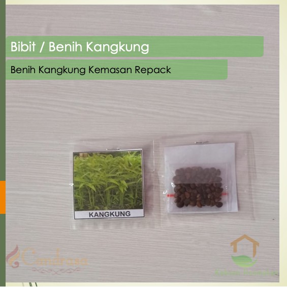 Biji Kangkung / Benih Kangkung / Benih Sayuran