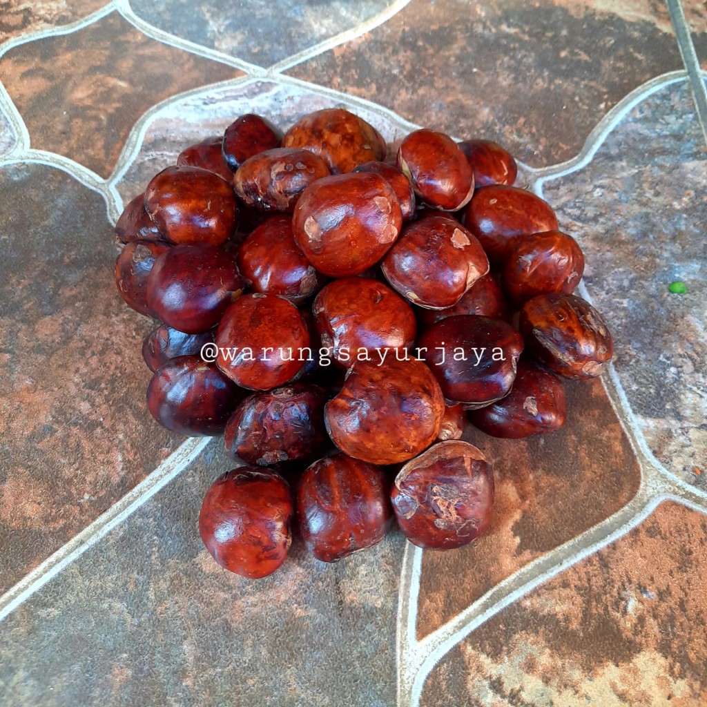 

Jengkol Mentah 250 gram