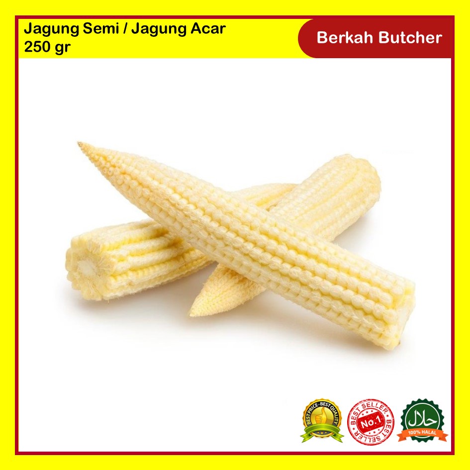 

Jagung Semi / Jagung Acar Segar 250 gr Berkah Butcher