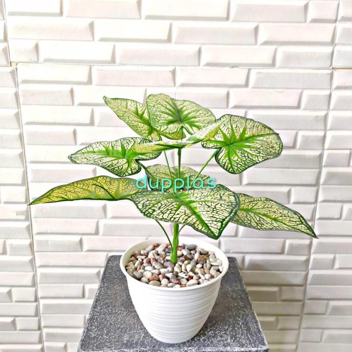 Pohon Daun Sri Rejeki Artifisial Tanaman Plastik Hijau Merah Vas Tawon - Hijau