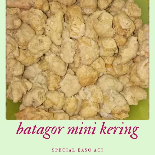 

INSTANT-CAMILAN- BATAGOR MINI RASA IKAN TENGIRI / BUTIR - 100 BUTIR -CAMILAN-INSTANT.