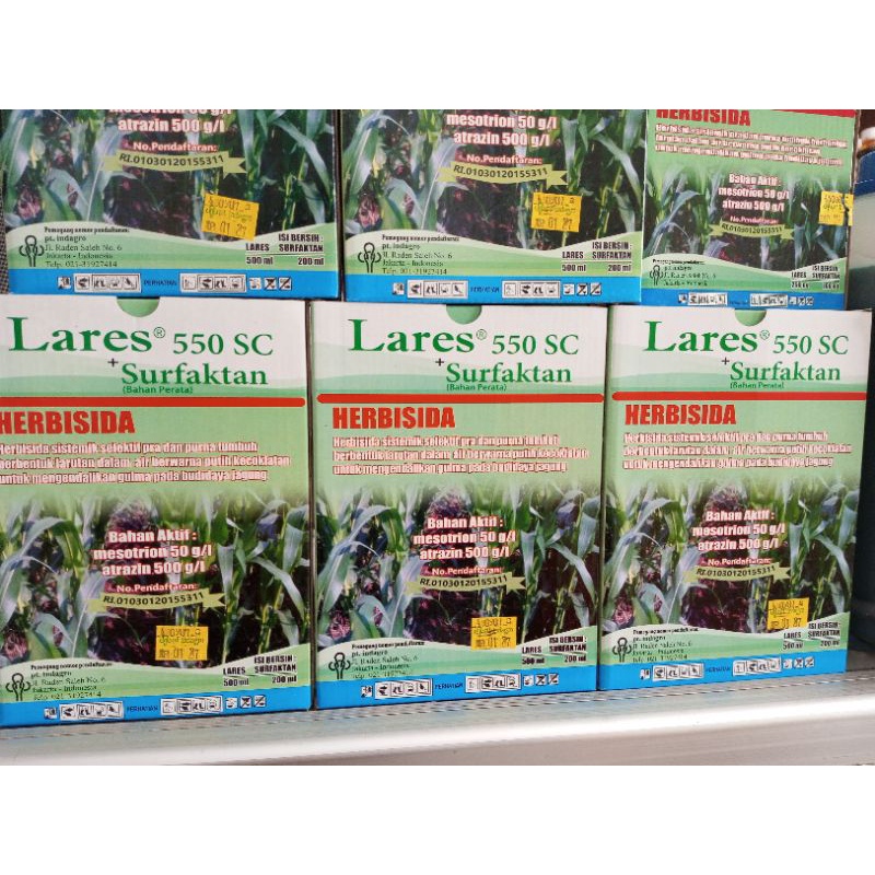 HERBISIDA SELEKTIF JAGUNG LARES 550SC sejenis calaris, sutrazin, kayabas