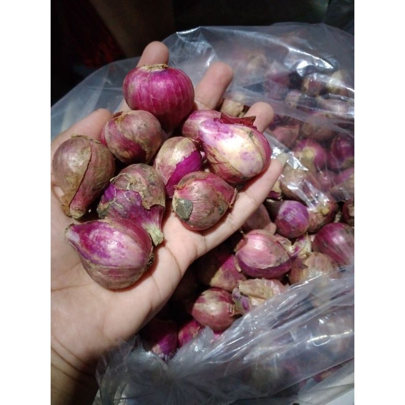 

Bawang merah brebes 500gr