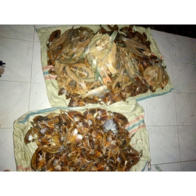 

IKAN ASIN BELAH CAMPUR