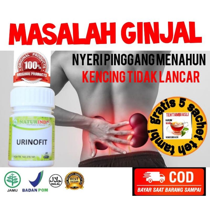 

COD Obat ginjal naturindo herbal batu ginjal radang ginjal obat ginjal bengkak urinofit sakit ginjal