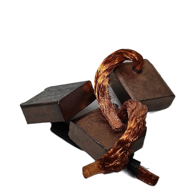 Carbon Brush Dinamo Starter PS 100