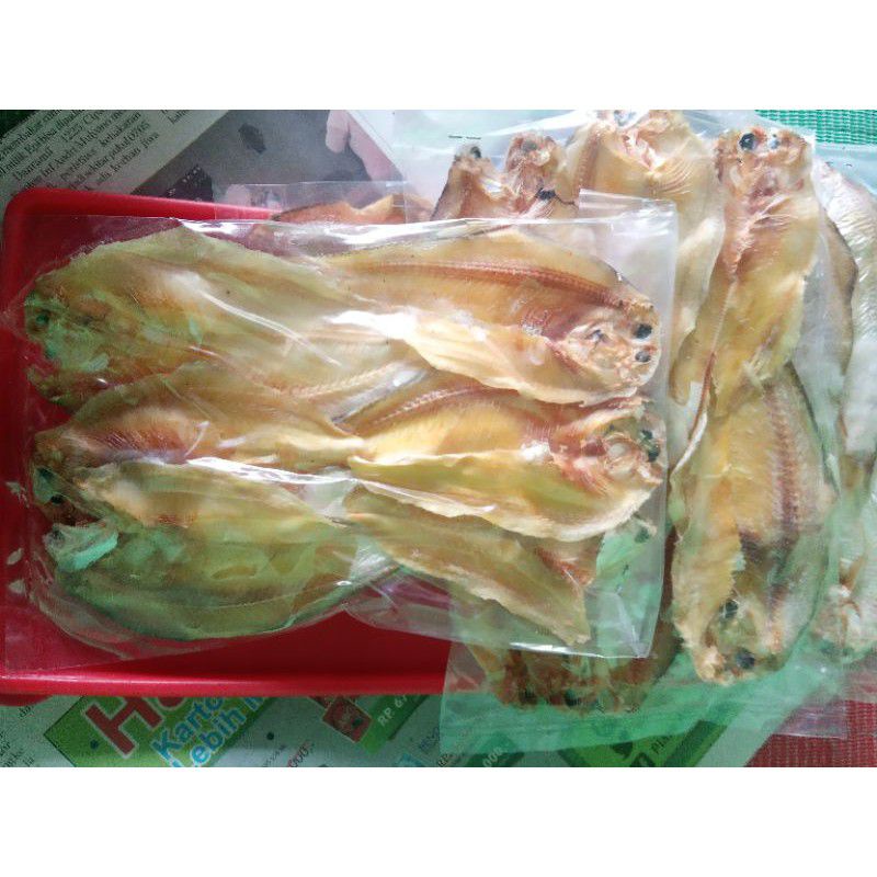 

IKAN ASIN BULU AYAM/IKAN ASIN KERUPUK ORIGINAL DI JAMIN KE TAGIHAN