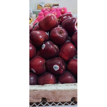 

buah merah import kualitas premium