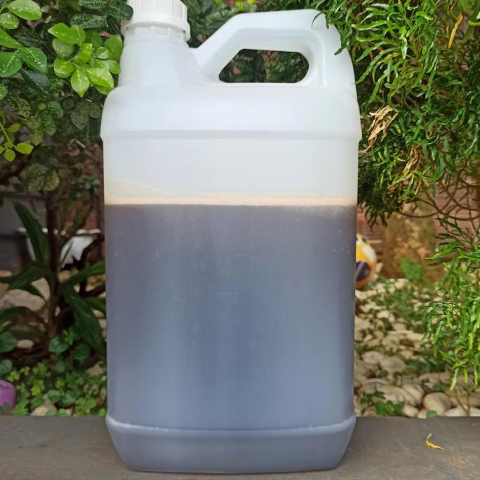 

Madu Hutan Asli Murni Raw Honey 5000 Gram Heraproject456