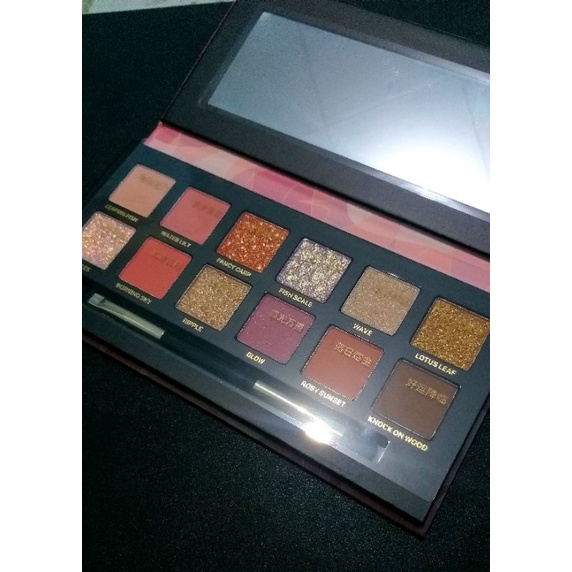 Perfect Diary Explorer Eyeshadow Palette 10 Fancy Carp