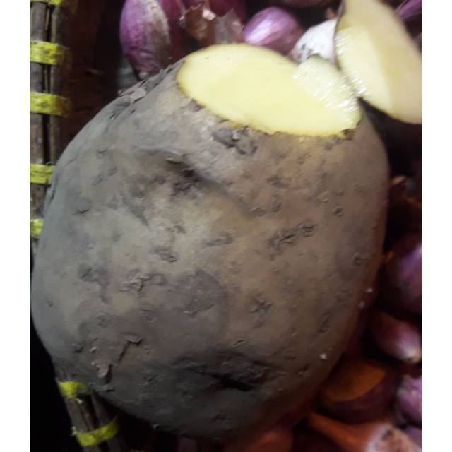 

Kentang Medan ukuran besar campur sedang(1kg 18.000)