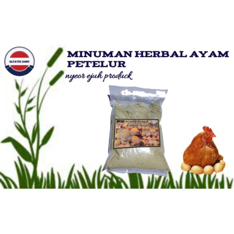 

minuman herbal ayam petelur