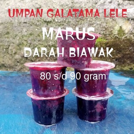 Umpan Mancing Galatama Lele, Marus/ Darah Biawak
