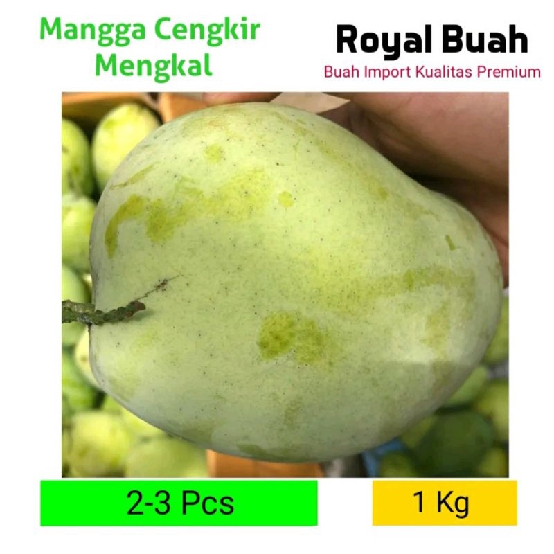 

Mangga Cengkir Mengkal 1Kg