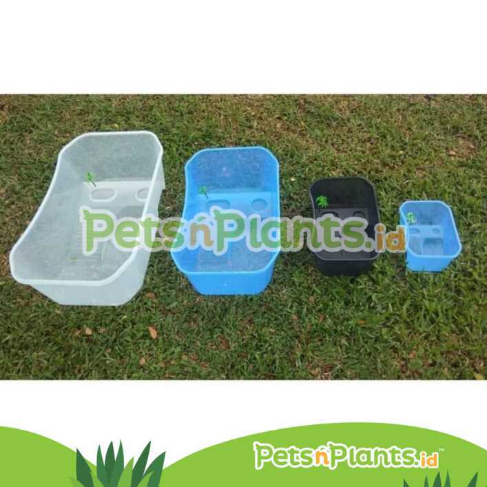 Akuarium Kandang Tempat Kura Kura Air - Turtle Tank Plastik PP Import - (M) = 40 x 24 x 13 cm