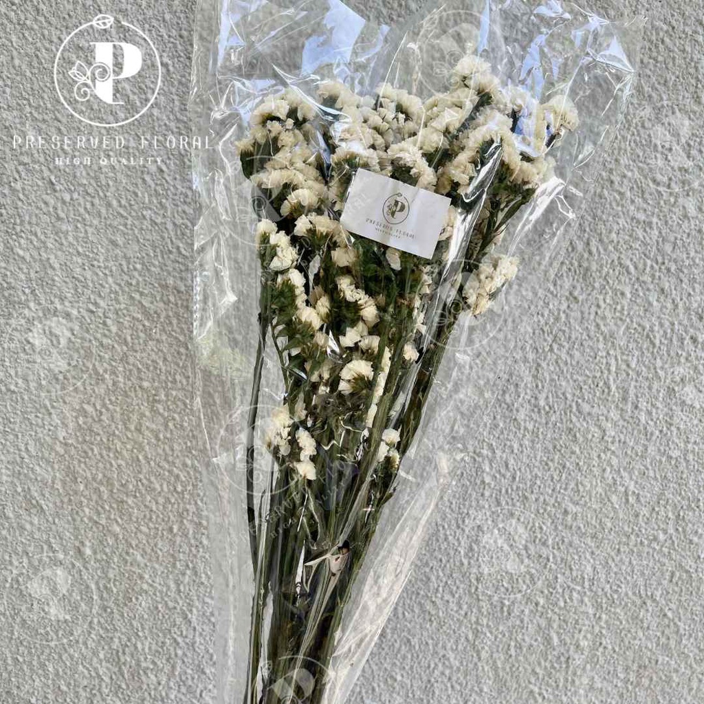 Preserved Statice Flower/ Dried Statice Flower Import/ Bunga Statice Asli Kering Premium