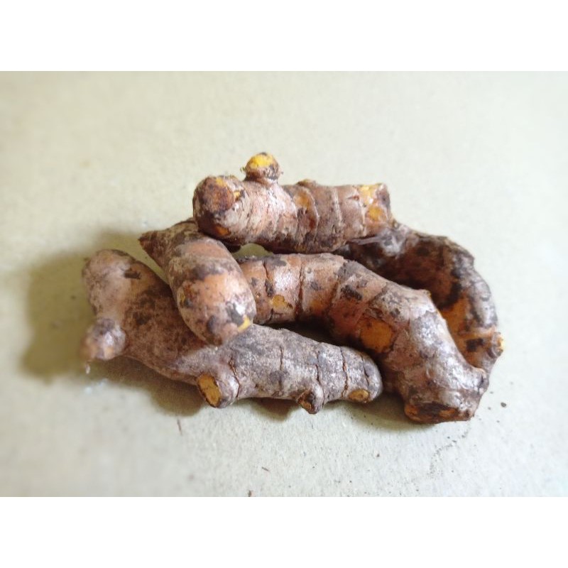 

100gr temulawak