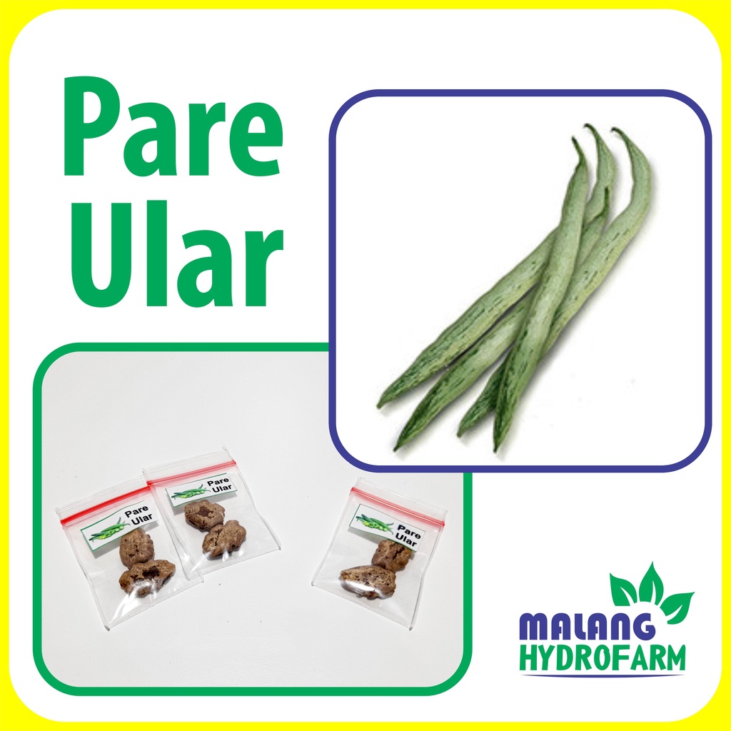 Benih Pare Ular Unggulan berkualitas biji panjang paria bibit hydroponik hidroponik sayuran sayur