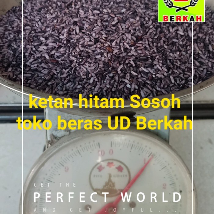 

978EqW Ketan Hitam Sosoh Untuk Tape Dll WQ0112