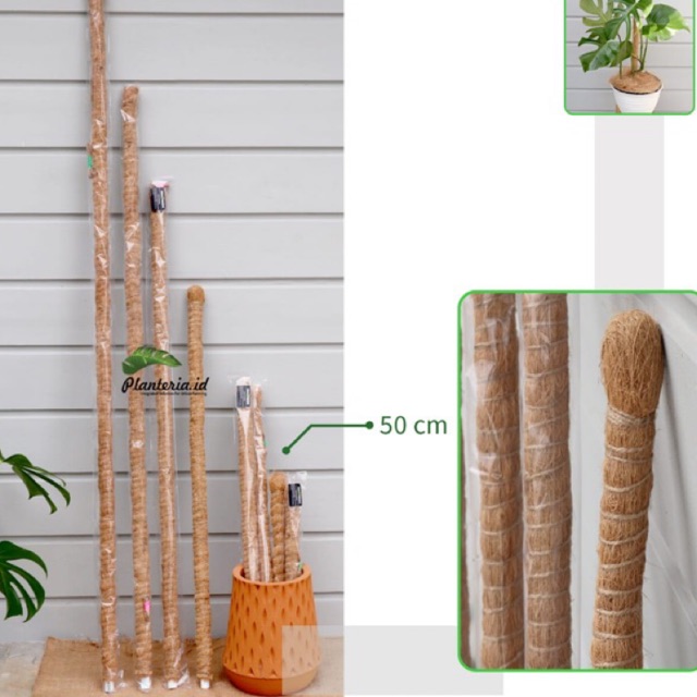 Turus/Rambatan 50 cm