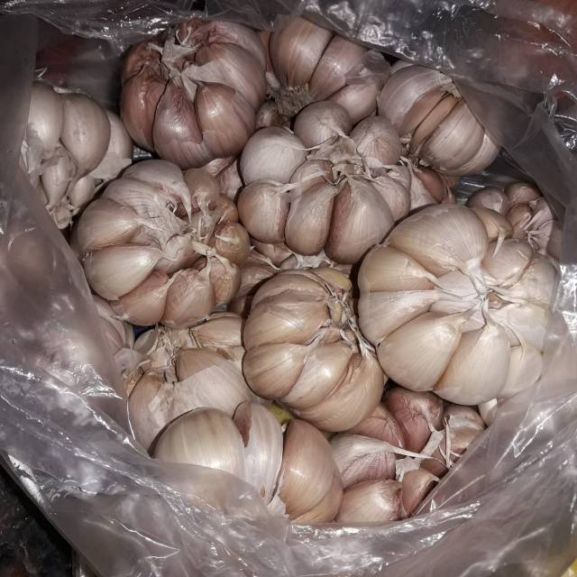 

Bawang putih