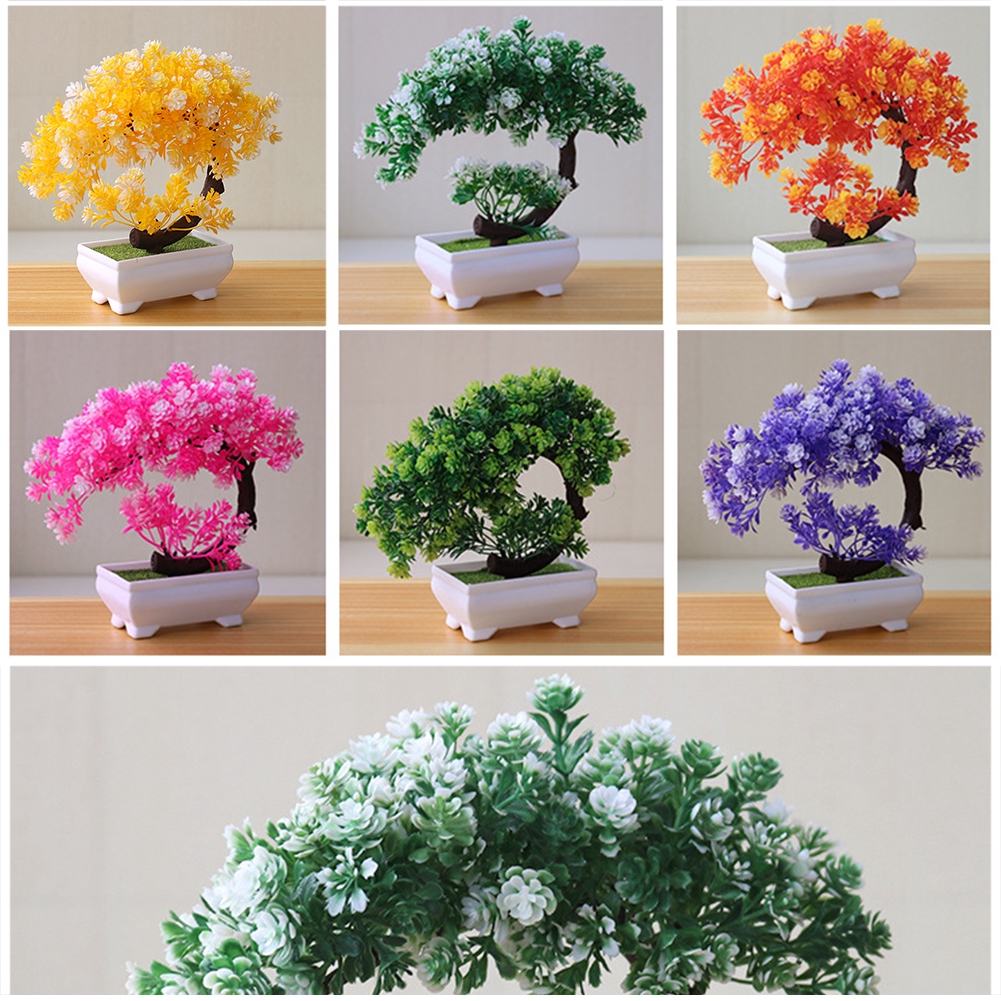 Pot Bunga / Tanaman Bonsai Mini dengan Bahan Plastik untuk ...